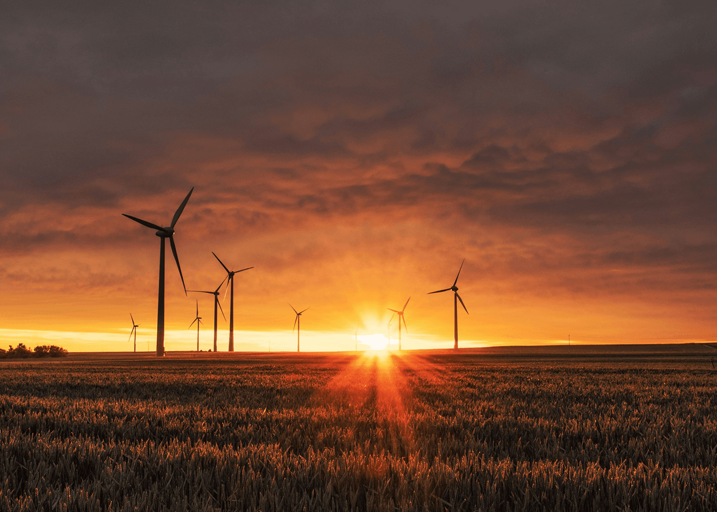 Sustainable Environment